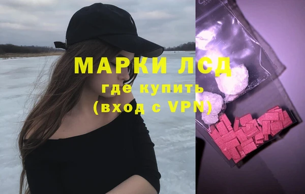 прущие грибы Алзамай