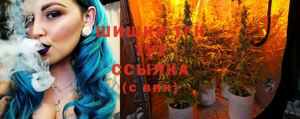 прущие грибы Алзамай