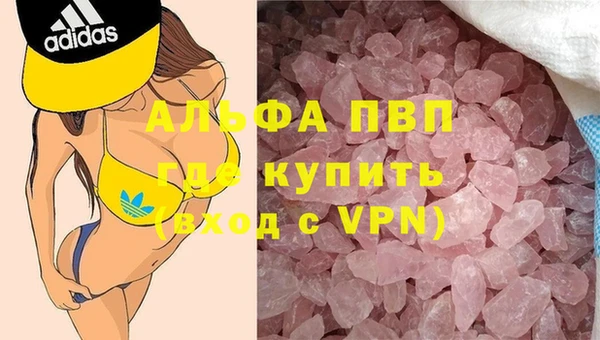 прущие грибы Алзамай