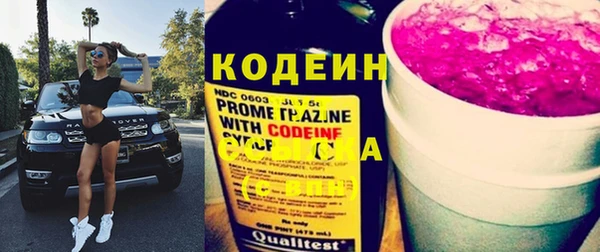 прущие грибы Алзамай